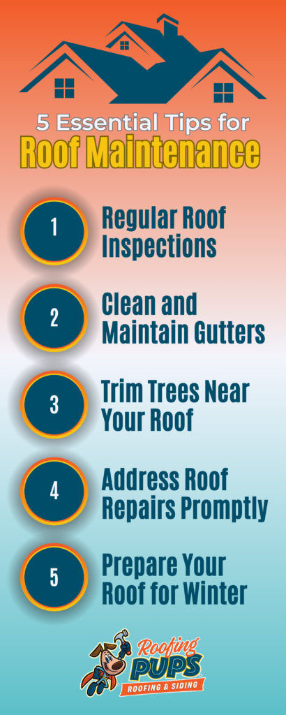 Roofing Pups. 5 Essential Tips. Infographic