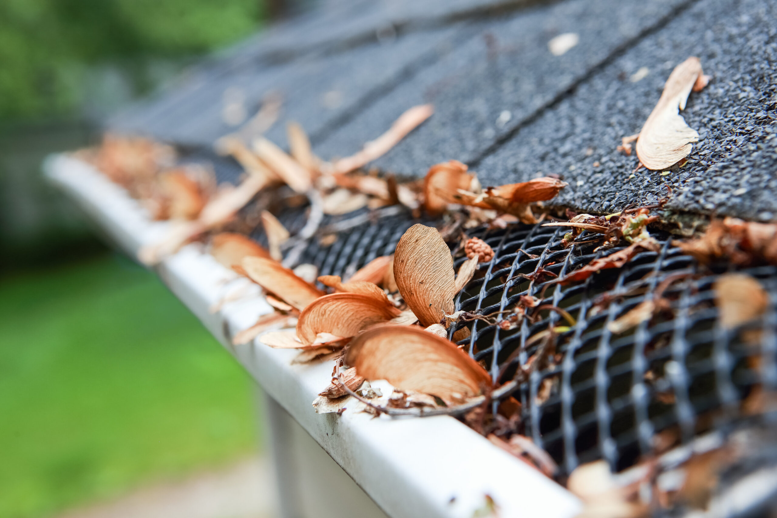 Gutter guard clogged with leaves on a South Carolina home, showing the need for gutter protection and maintenance by Roofing Pups.
