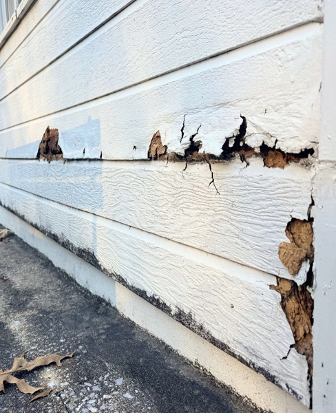 Home Siding Inspection 2