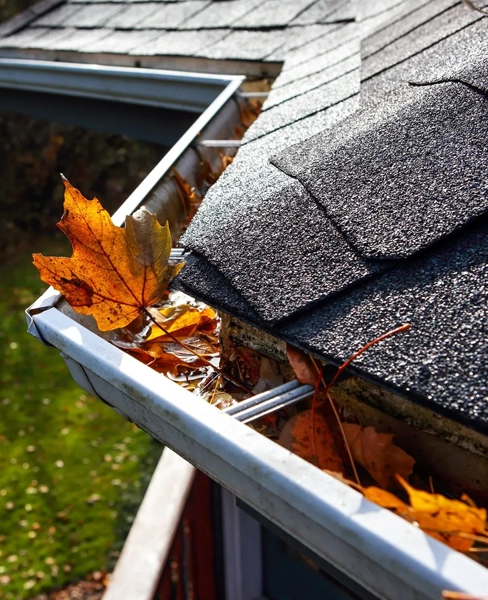 Roof Gutter Inspection Services 2