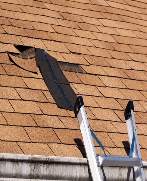 Roof Inspection Services 3