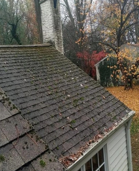 Roof Repair Diagnostic Services 1