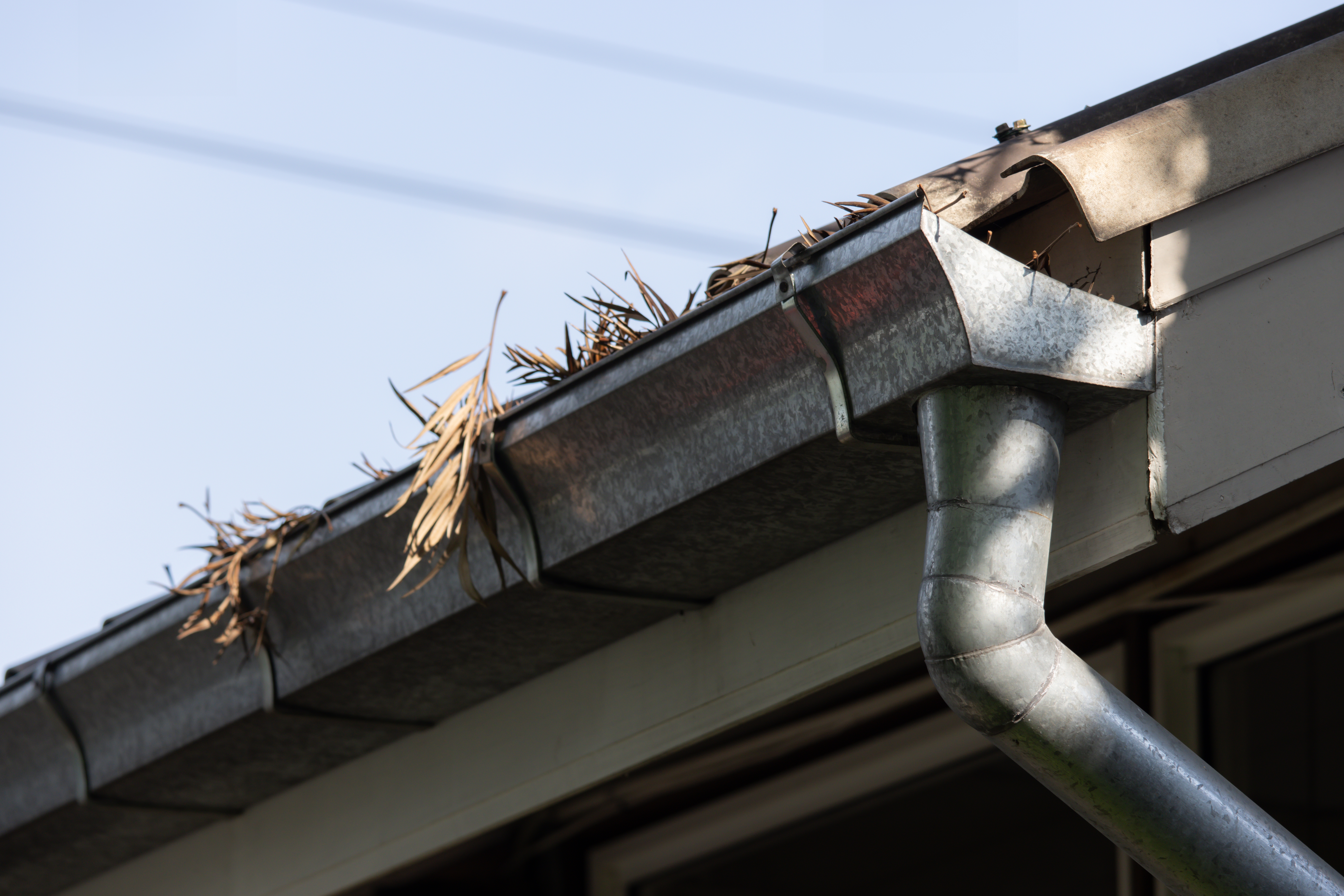Clogged gutter filled with debris on a home, showing the need for winter gutter maintenance in Maryland and Northern Virginia by Roofing Pups