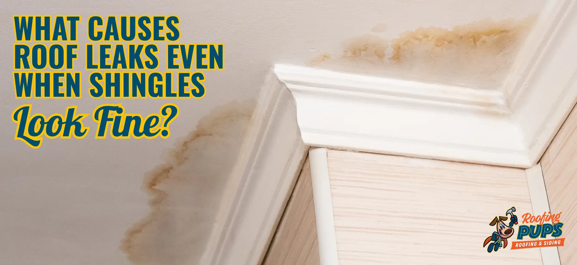 Interior ceiling with visible water stains caused by a hidden roof leak, demonstrating that roof damage can occur even when shingles appear to be in good condition.